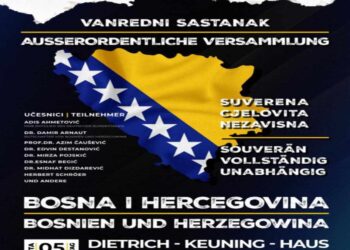 Budućnost BiH u rukama dijaspore?